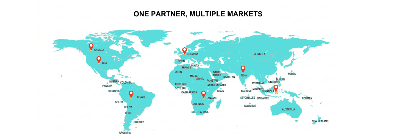 Global distribution network map